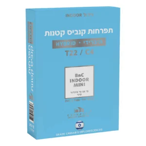 בי אנ סי מיני (BnC Mini)