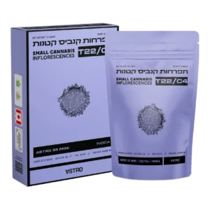 אסטרו 33 מיני (Astro 33 Mini)
