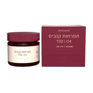 אינ. פרן (In.Fern)