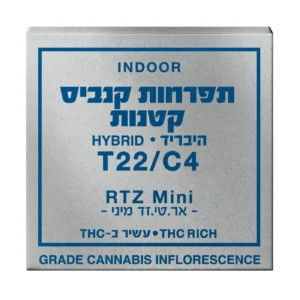 אר.טי.זד מיני (RTZ Mini)