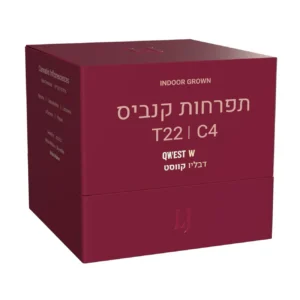 דבליו קווסט (Qwest W)