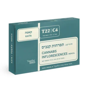 קאטה (Kata)