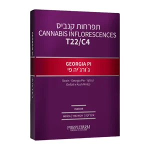 ג'ורג'יה פי (Georgia Pi)
