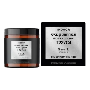 ג'י אם או.טי (GMO.T)