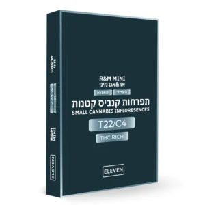 אר&אם מיני (R&M Mini)