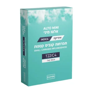 אלטו מיני (Alto Mini)