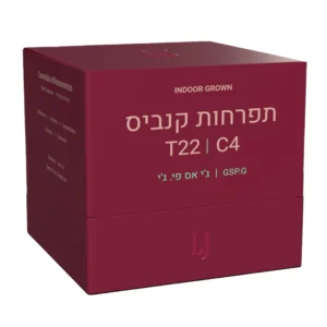 ג'י אס פי.ג'י (GSP.G)