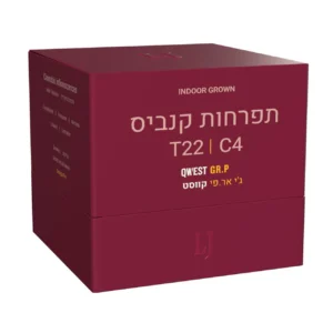 ג'י אר.פי קווסט (Qwest GR.P)