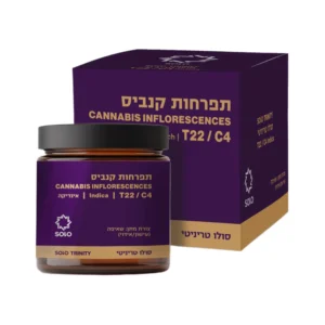 סולו טריניטי (Solo Trinity)