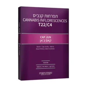קאפ ג'אן (Cap Jun)