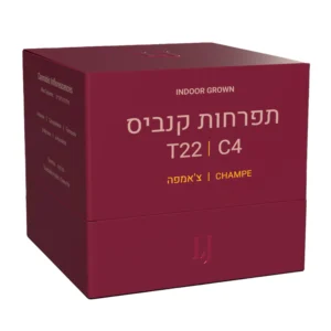 צ'אמפה (Champe)