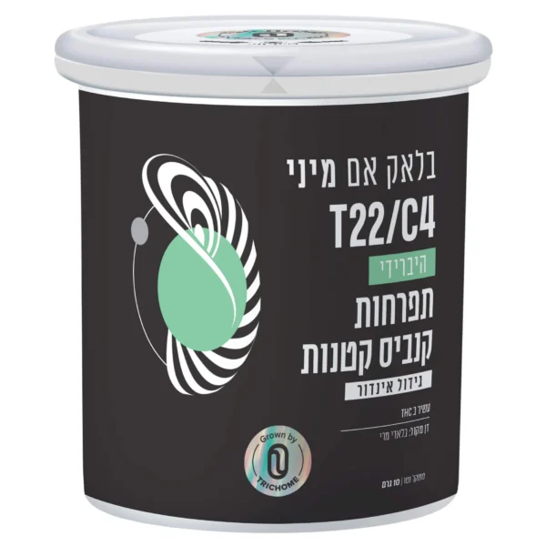 בלאק אם מיני (Black M Mini)