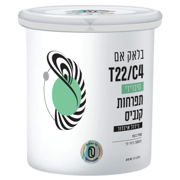 בלאק אם (Black M)