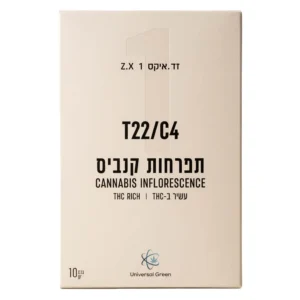 זד.איקס 1 (Z‎.‎X ‎1‎)