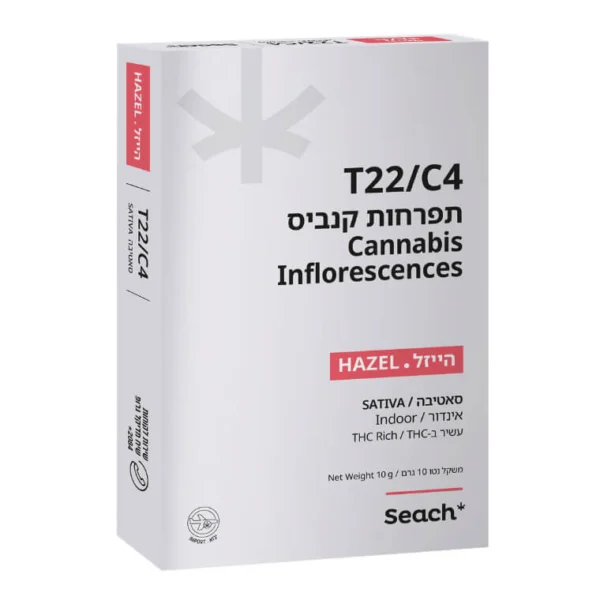 הייזל (Hazel)