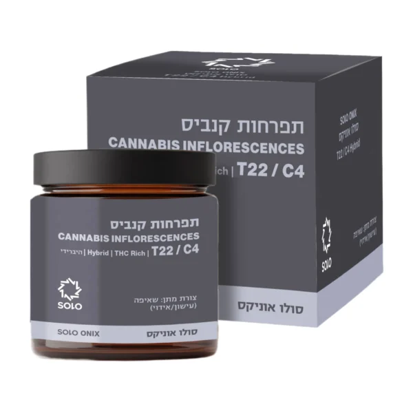 סולו אוניקס (Solo Onix)