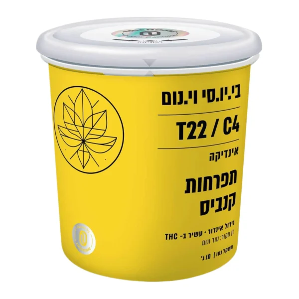 בי.יו.סי וי.נום (B.U.C V.Nom)