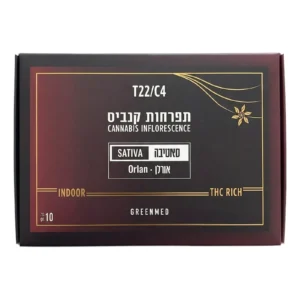אורלן (Orlan)