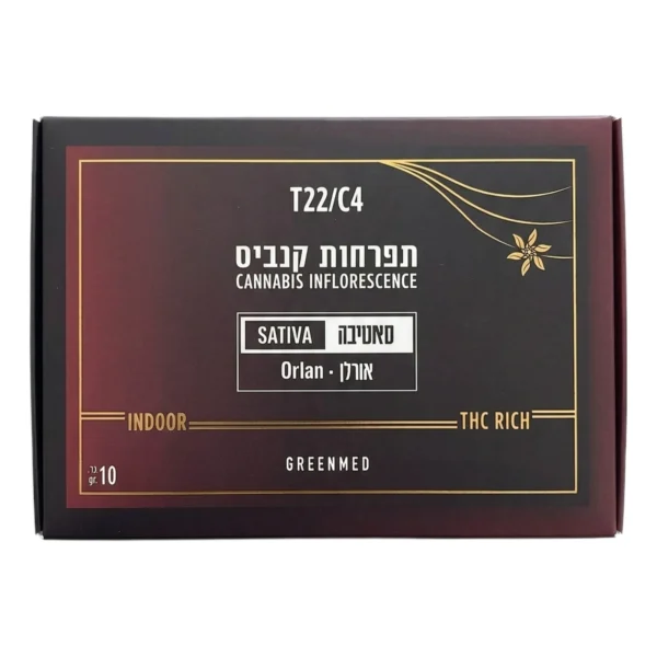 אורלן (Orlan)