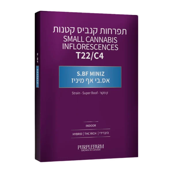 אס.בי אף מיניז (S.BF Miniz)