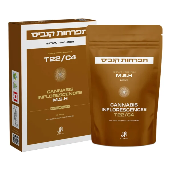 אם.אס.אייץ' (M.S.H)