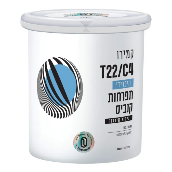 קמירו (Kamiro)