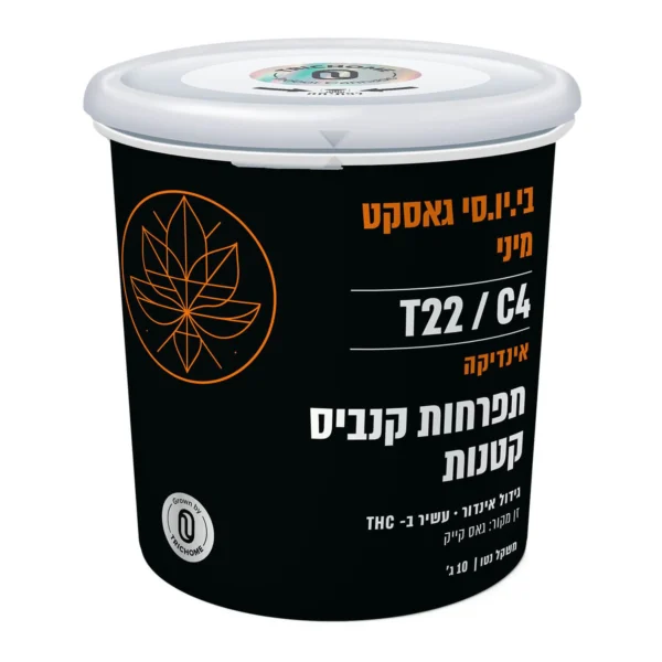 בי.יו.סי גאסקט מיני (B.U.C Gasket Mini)