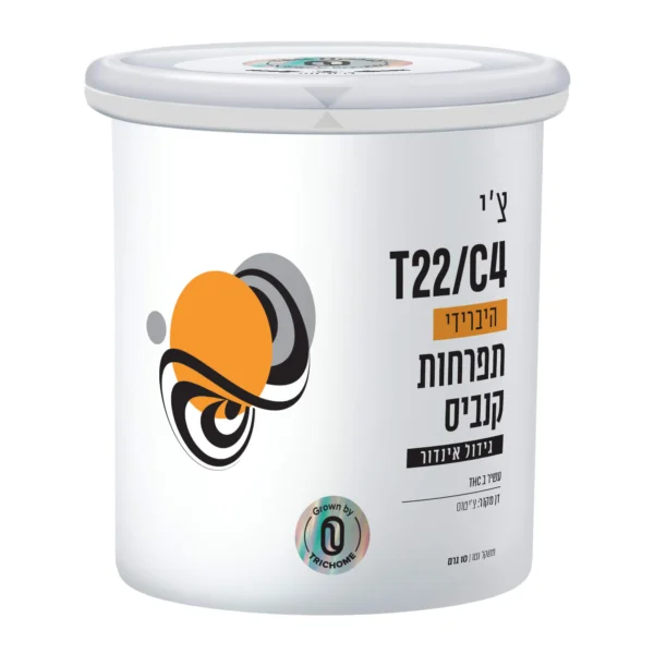 צ'י פחית