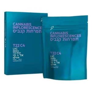 אל וי סי (LVC)