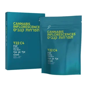 אף אן אף (FNF)