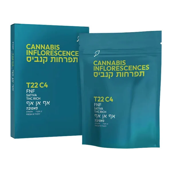 אף אן אף (FNF)