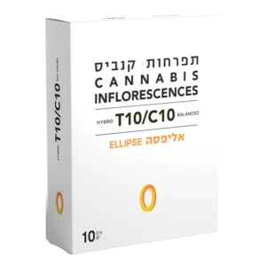 אליפסה (Ellipse)