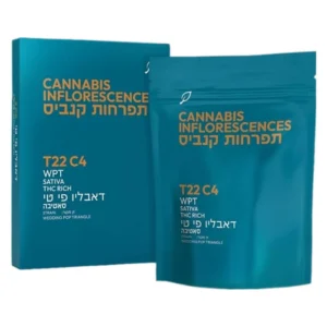 דאבליו פי טי (WPT)